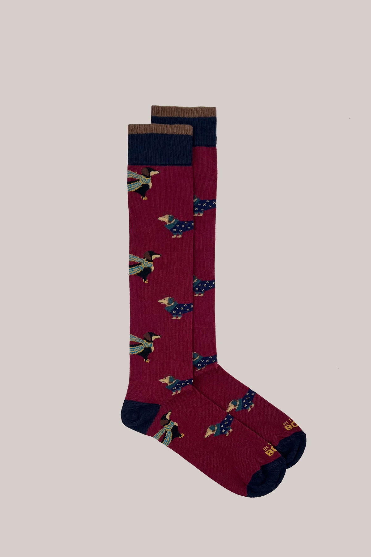 Bordeaux knee-high cotton socks with all-over dachshund motif and contrasting ribbed cuffs, heels and toes