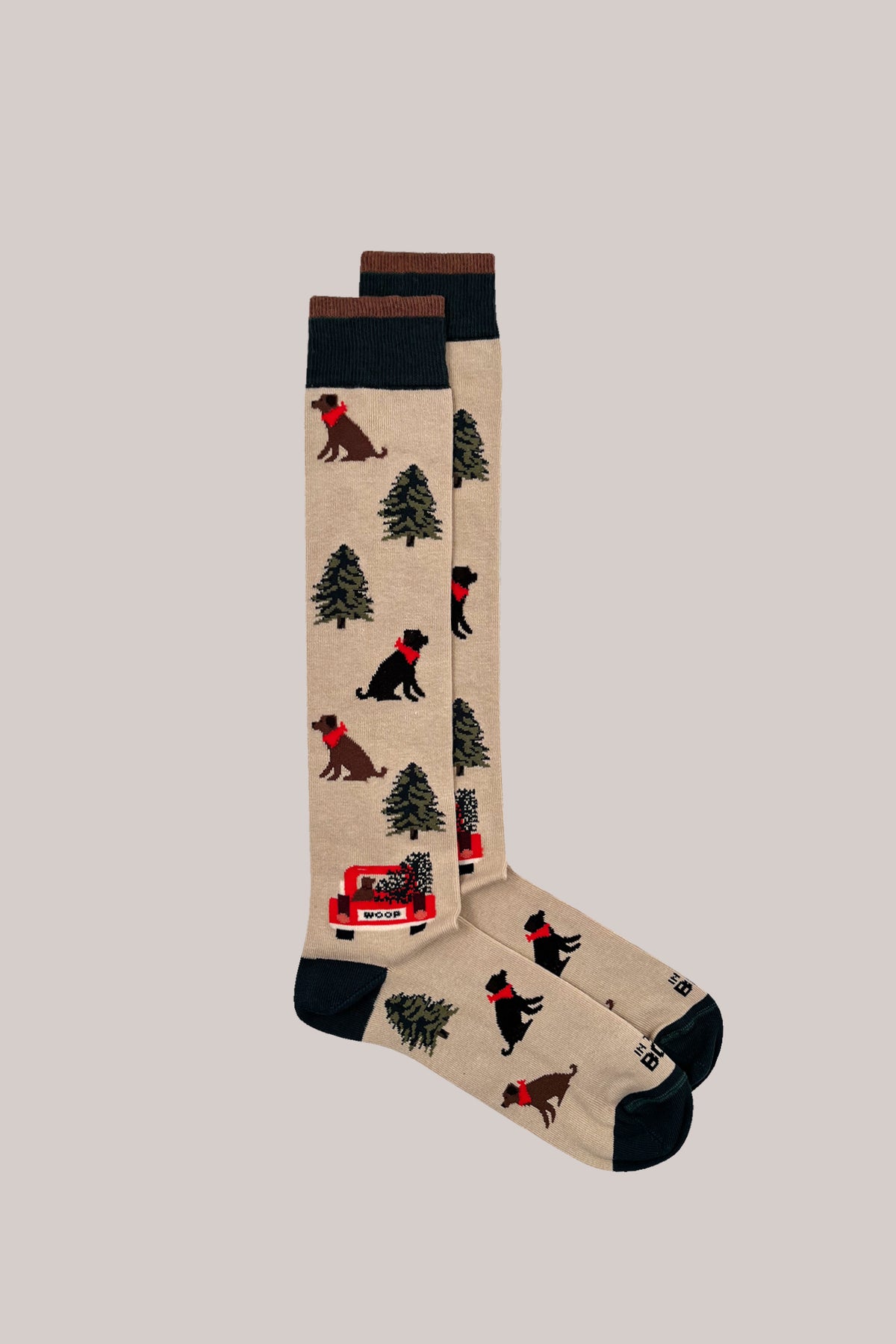 Beige knitted socks featuring dogs, pine trees and a red truck, with contrasting dark ribbed cuffs, heels and toes